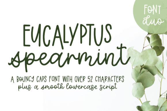 Eucalyptus Spearmint: A Designer’s Honest Review