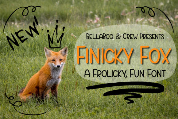 Finicky Fox: A Playful Sans Serif Font for Branding