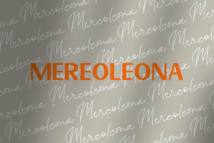 Mereoleona Duo: A Bold Sans Serif Font for Makers