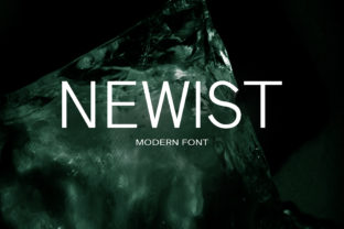 Newist: A Playful Sans Serif Font for Web Design