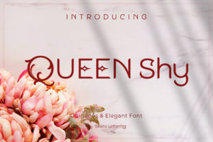 Queen Shy: A Refined Sans Serif Typeface for Editorial Design
