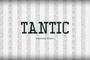 Tantic Serif: A Designer’s Practical Review